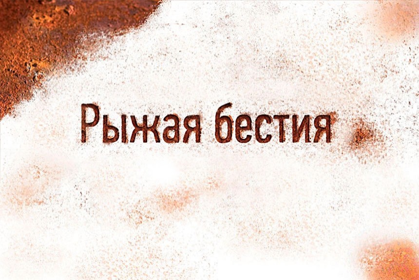 Нержавеющий автомобиль — есть ли рецепт?